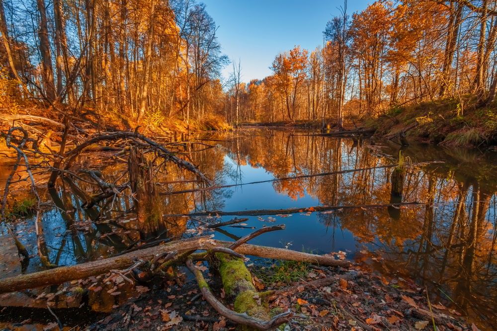 Photograph by Дмитрий Сундеев