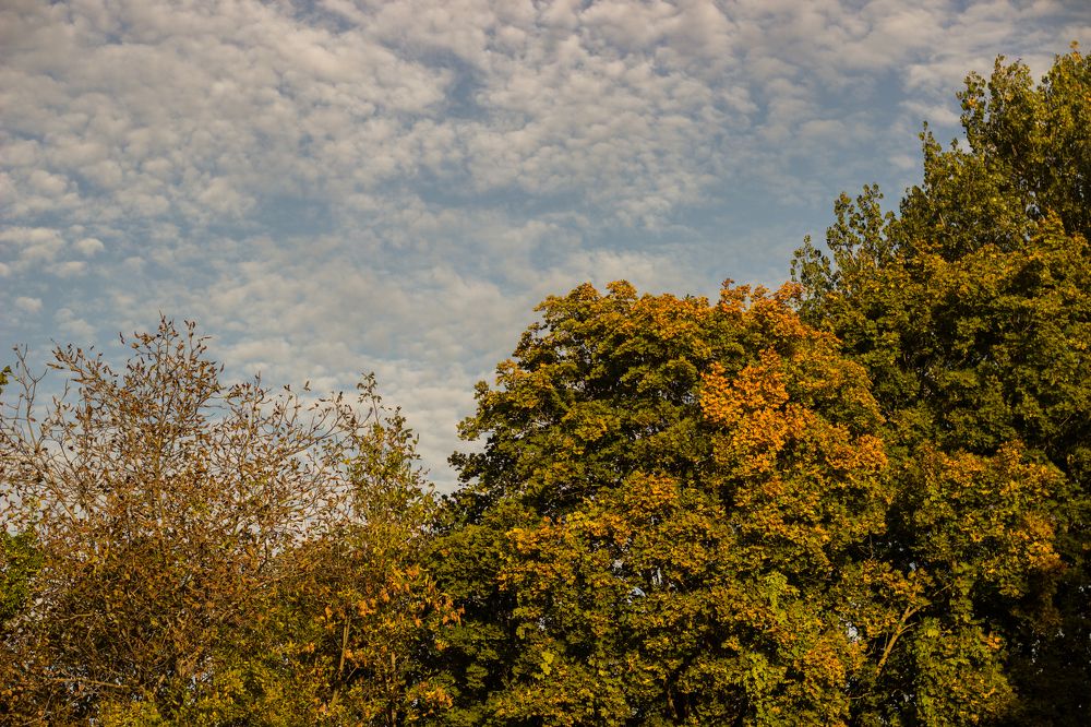 Photograph by Александр Редько