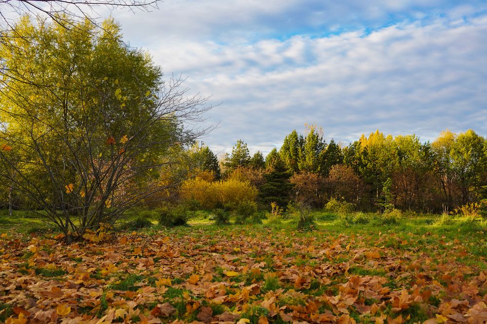 Photograph by Olesia Chepurchenko