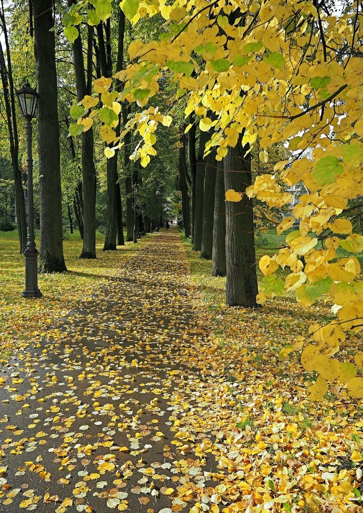 Photograph by Евгений Яковлев