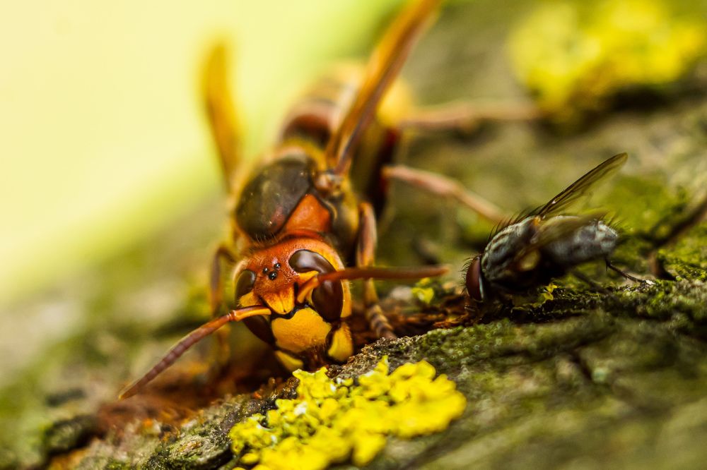 Photograph by Александр Казак