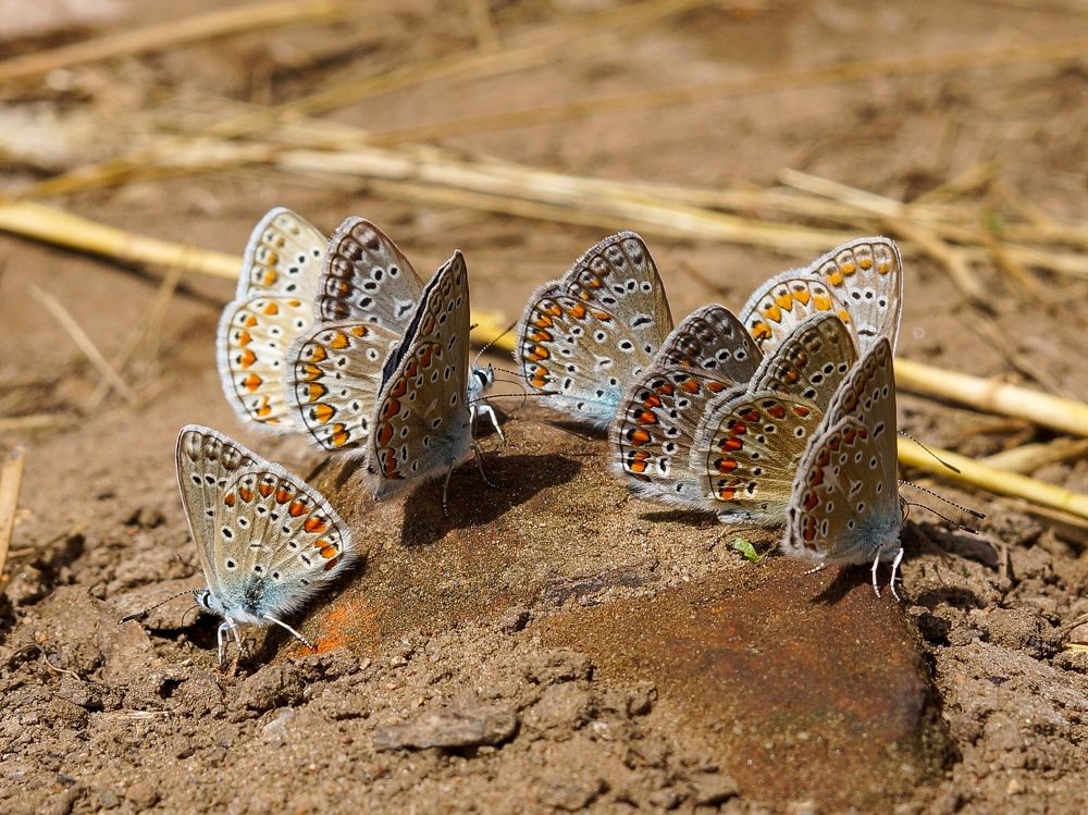 Photograph by Александр Казак