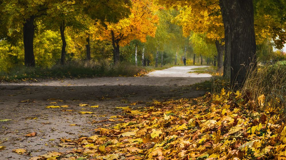 Photograph by Сергей Епишев