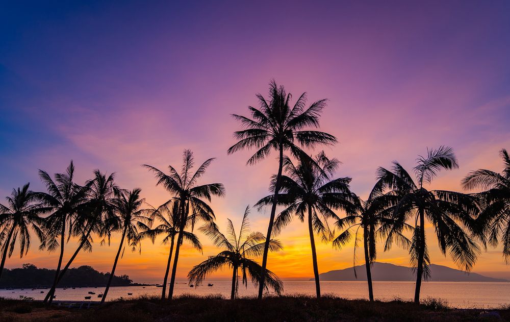 Ancient fishing village life