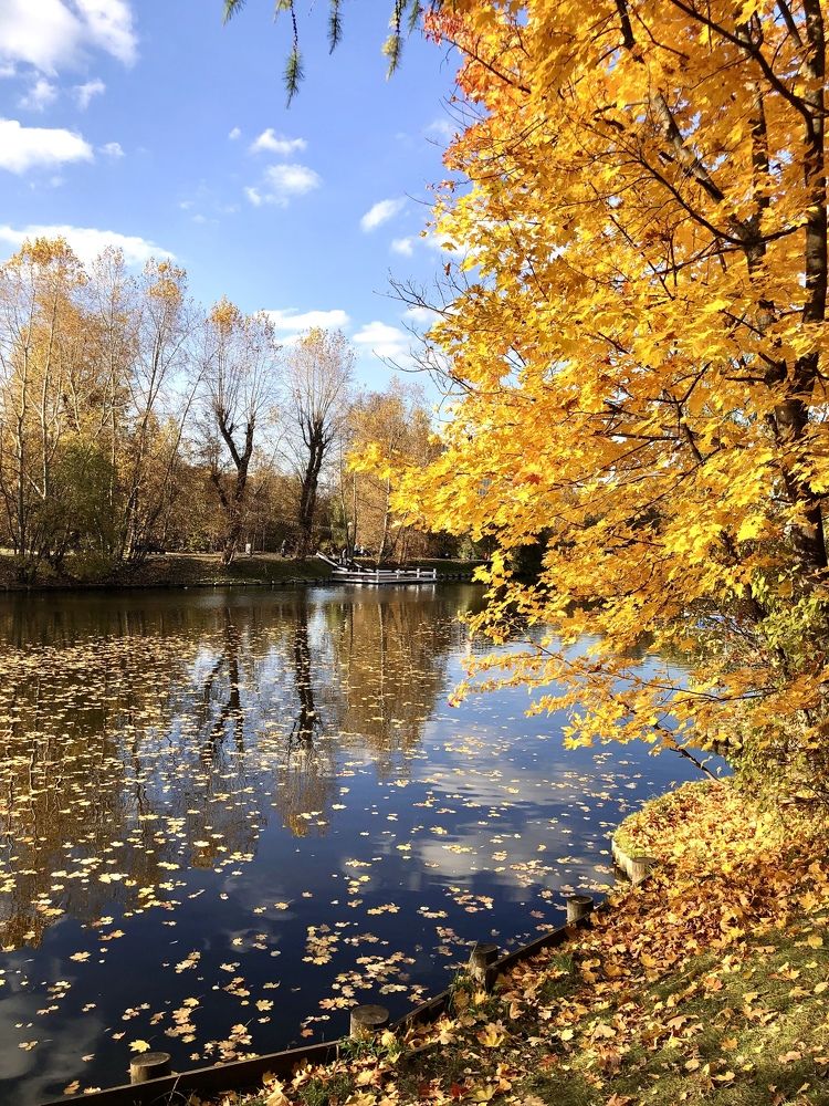 Краски осени