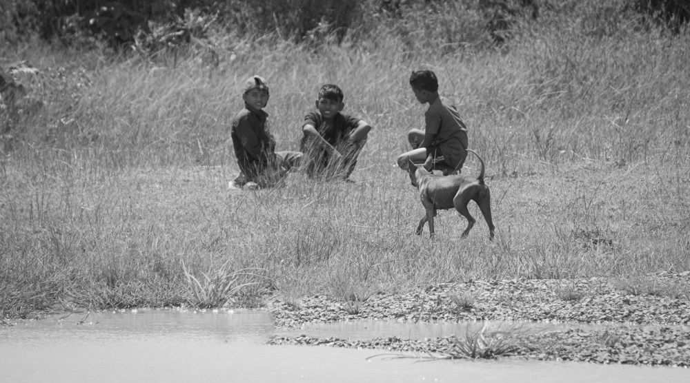 Photograph by Kaily Jane