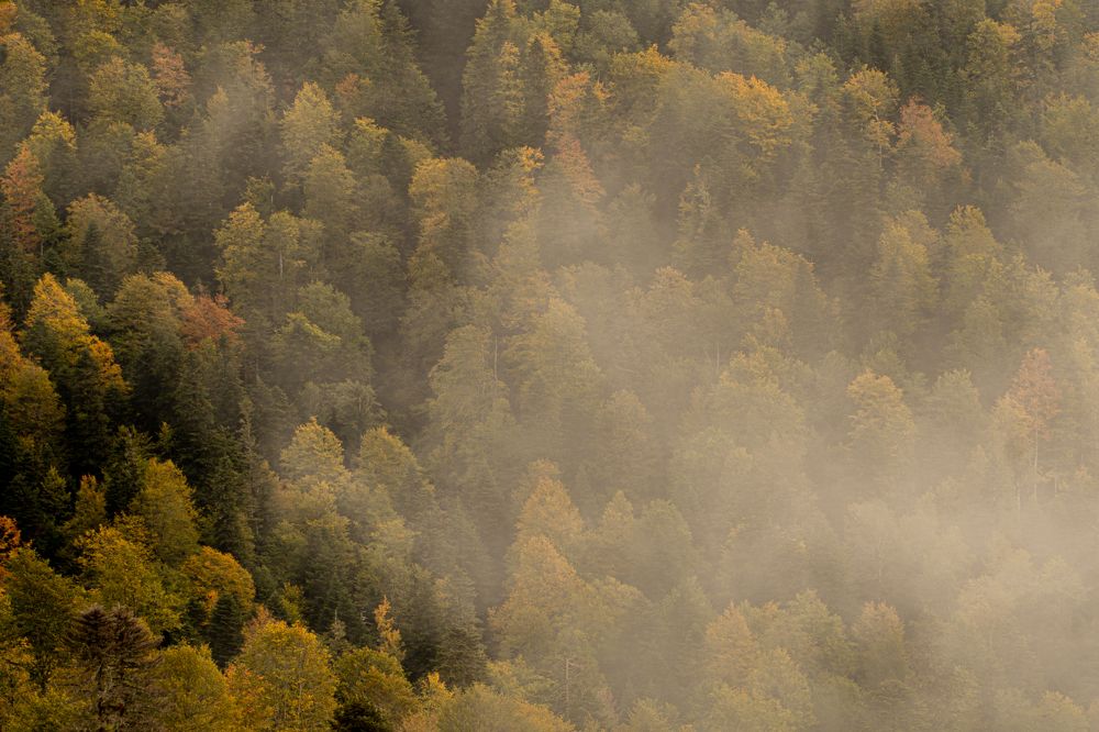 Photograph by Виталий Абдразаков