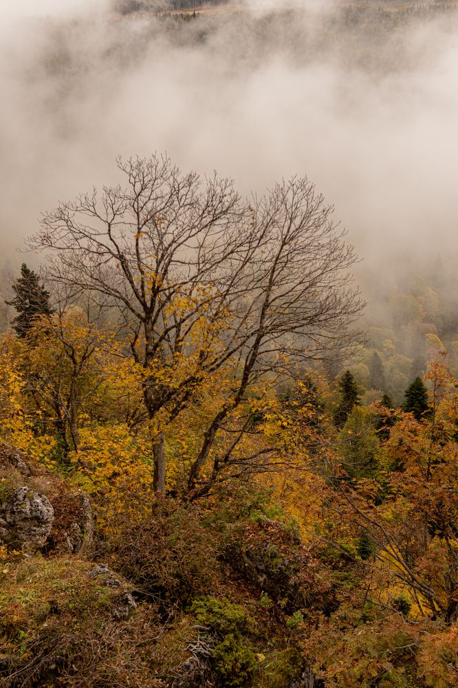 Photograph by Виталий Абдразаков
