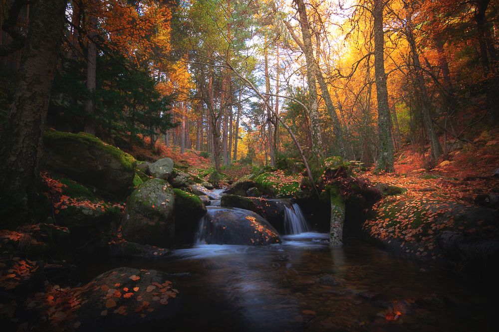 Photograph by Sergio Diaz