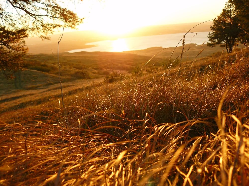 Фотография автора Daria Kirina