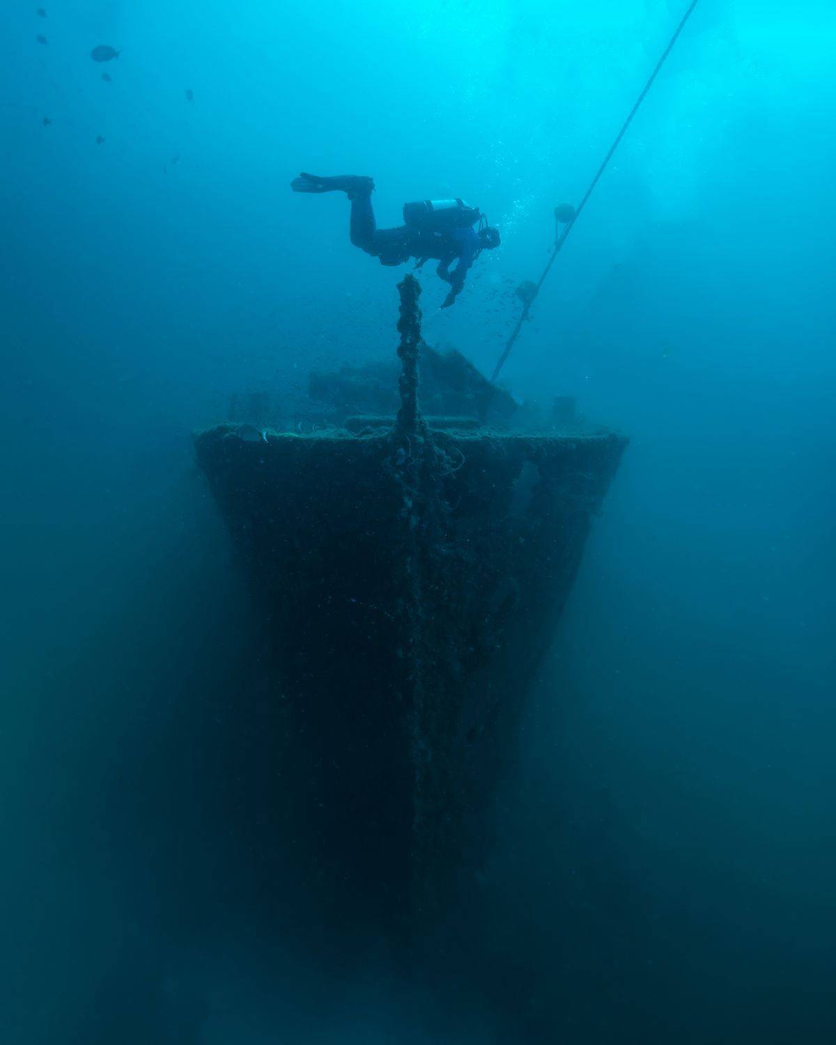 Фотография #6576431