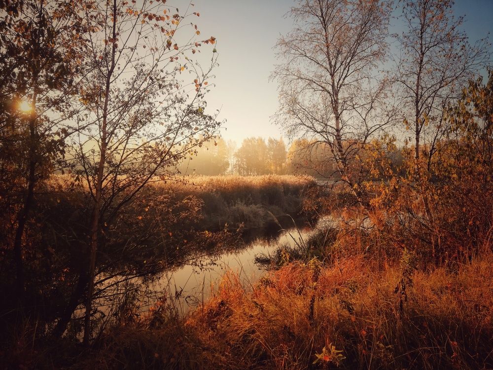 Photograph by Евгений Калагаев