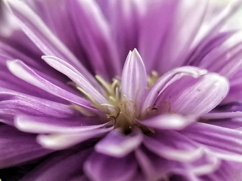 Photograph by Sumiran Waghmare