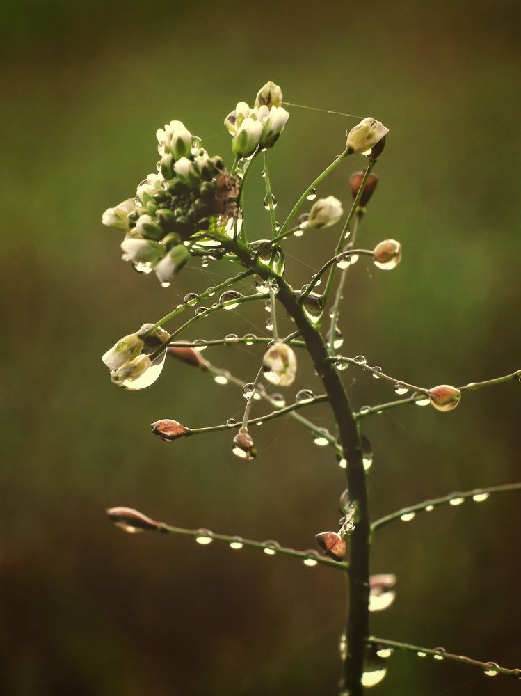 Photograph by Тимофей Ведясов