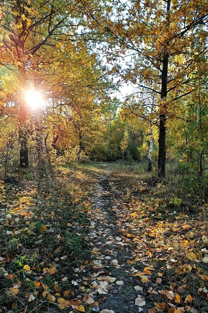 Photograph by Вера Родионова