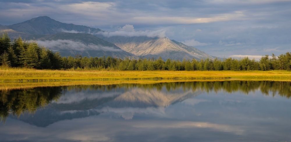 Осень на берегу реки.