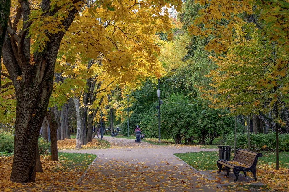 Photograph by Anatoly Lunov