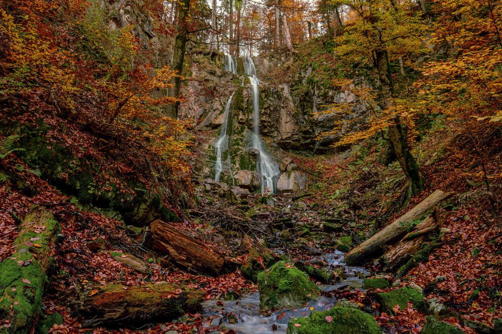 Photograph by Jürgen Büchel