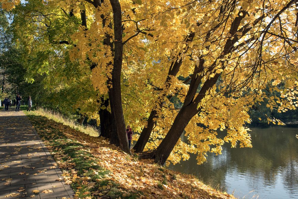 Photograph by Anatoly Lunov