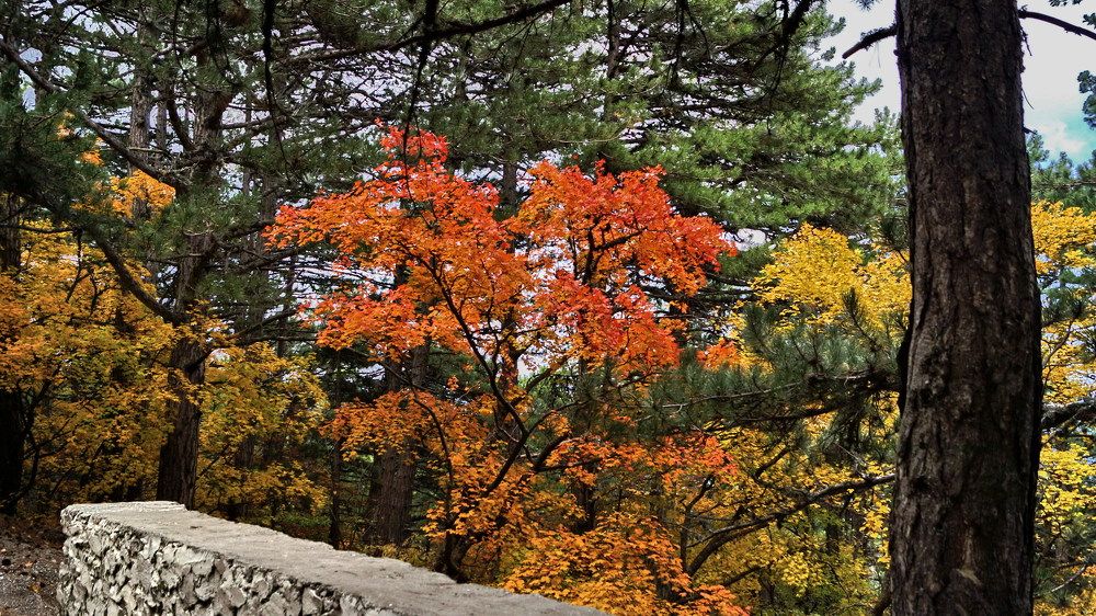 Photograph by Виктор Косюк