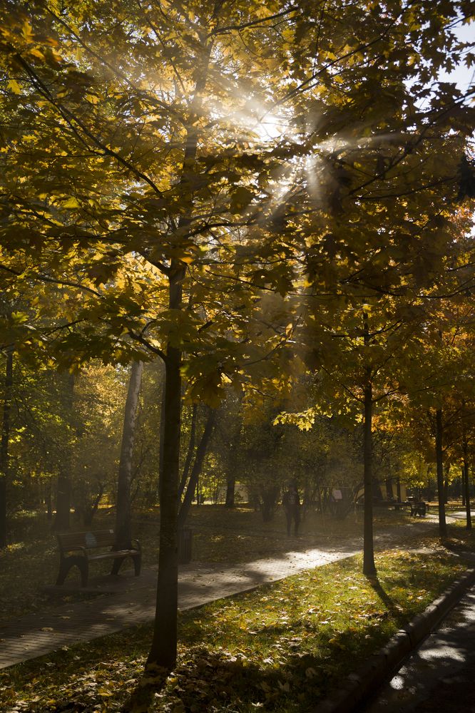 Photograph by Наталия Дударева