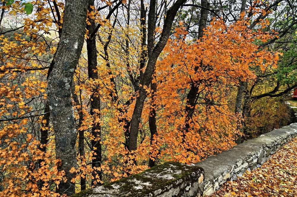 Photograph by Виктор Косюк