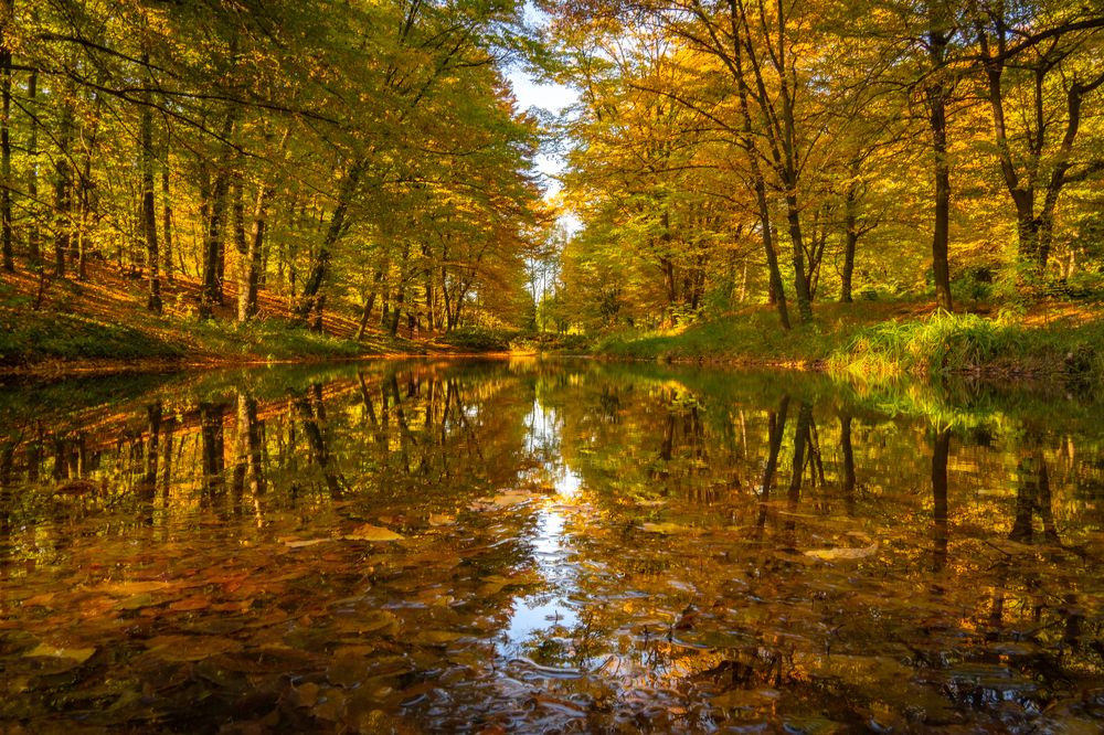 Photograph by Ewa Siwiecka