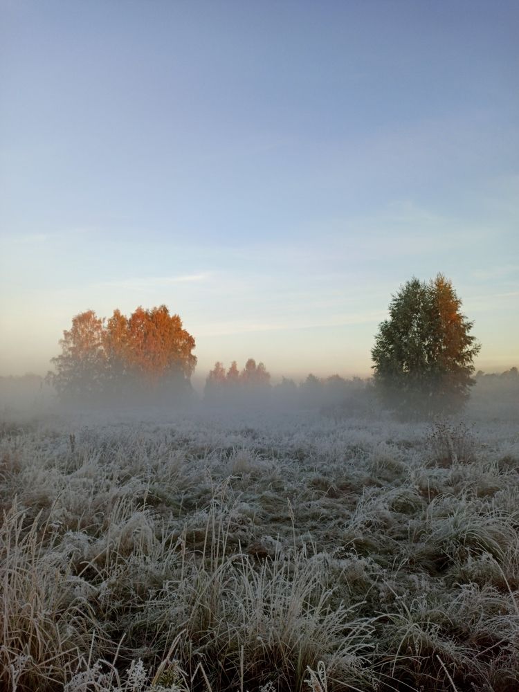 Photograph by Eлена Смирнова