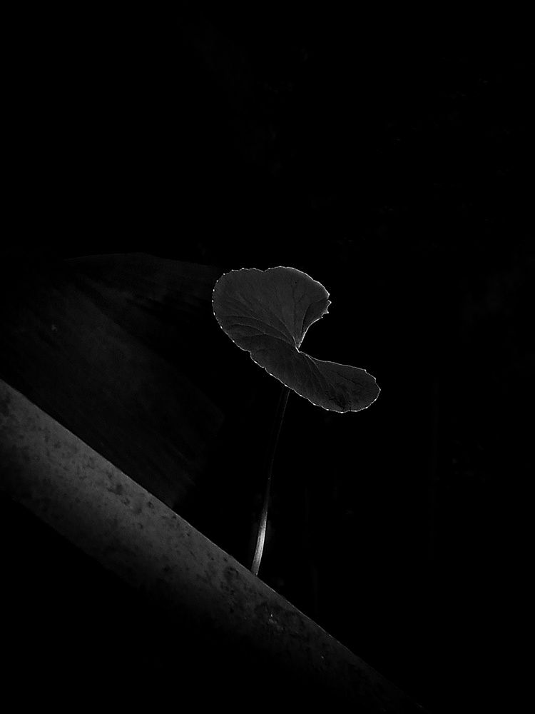 Rise out of darkness