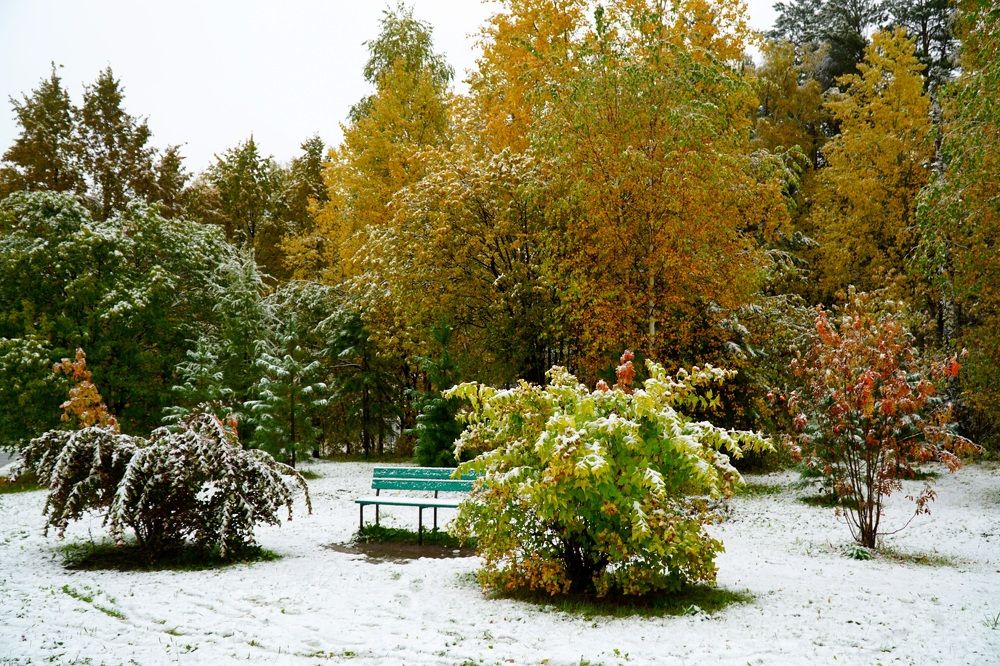 Photograph by Ольга Паньшина