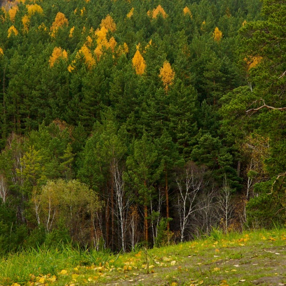 Photograph by Ольга Паньшина