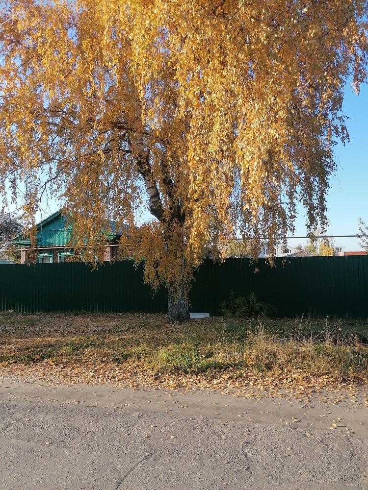 Photograph by Ляля Майс