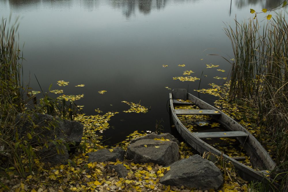 Photograph by Влад Лесик