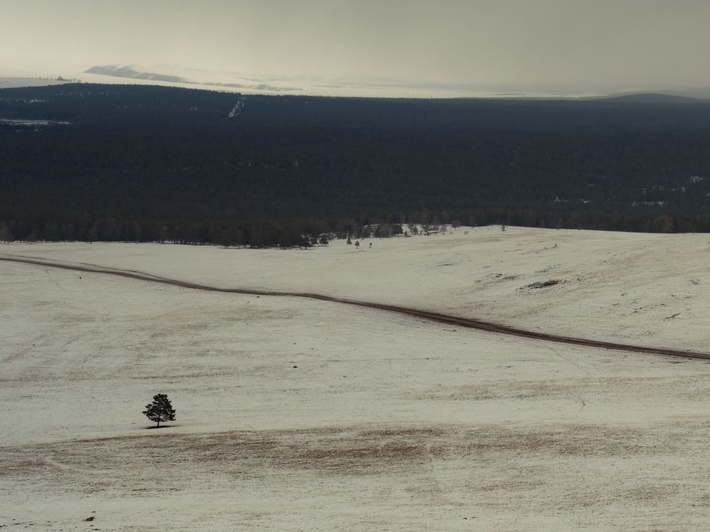 Photograph by Надежда Меркулова