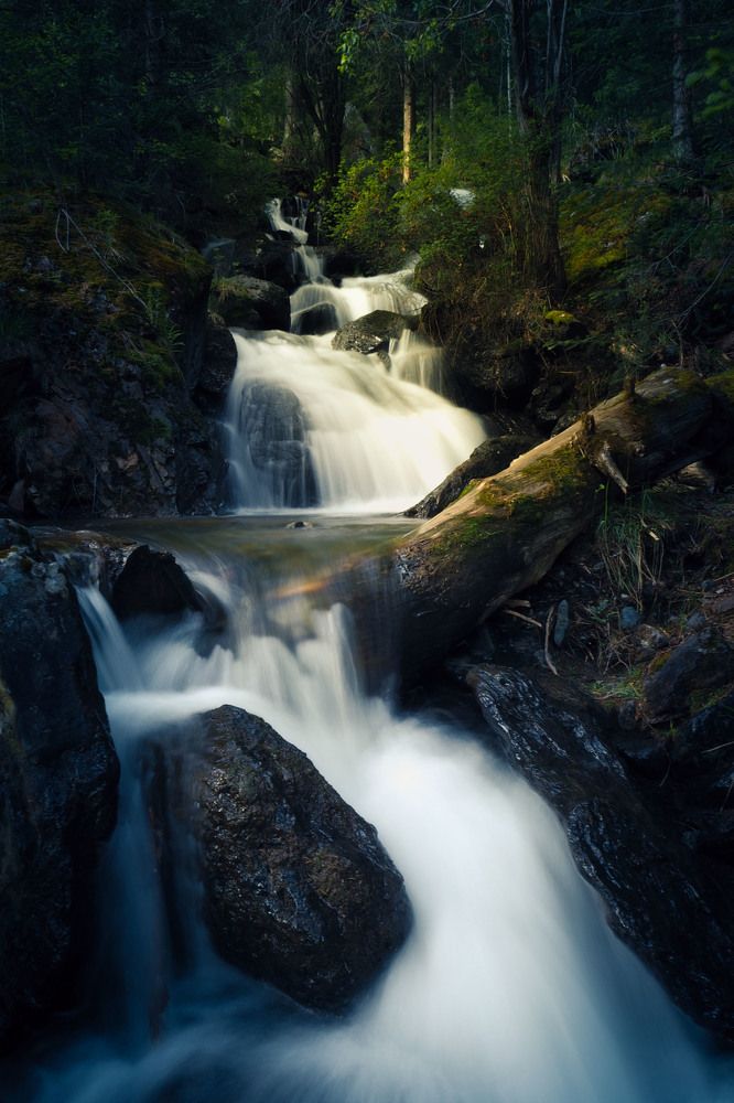 Photograph by Надежда Меркулова