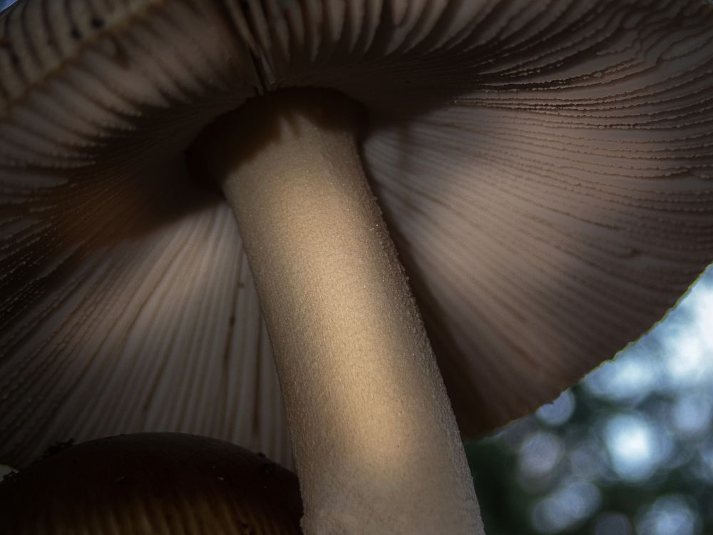 Photograph by Sergio Diaz