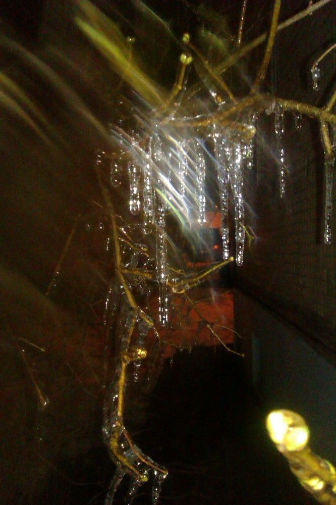 Photograph by Алия Хафизова