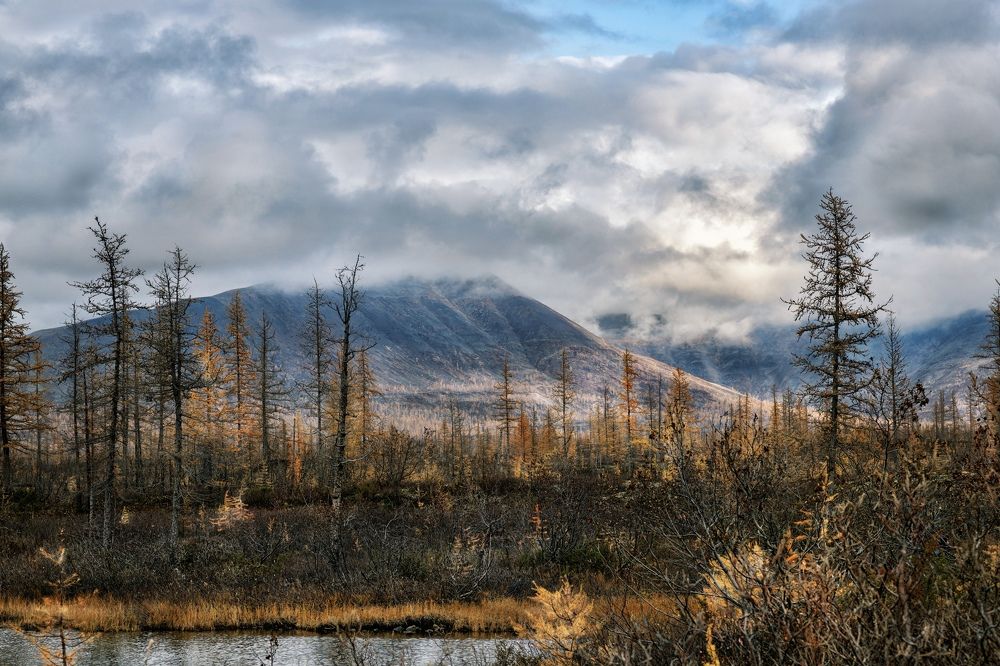 Photograph by Ирина Ульянова