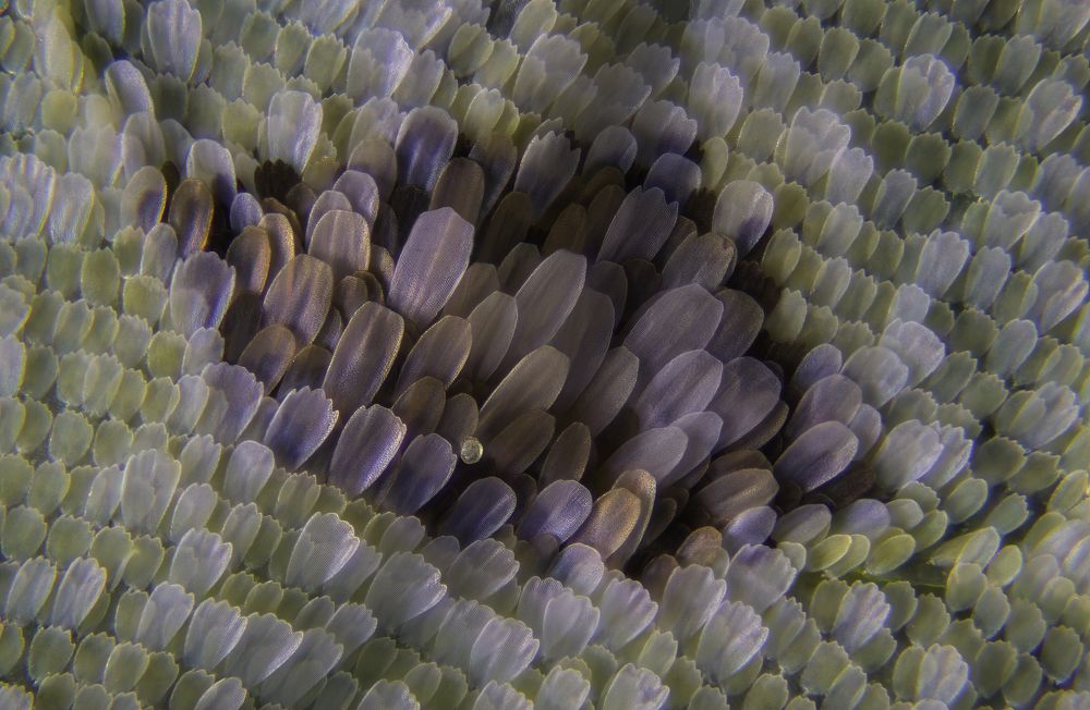 Фотография автора Eimar Kull