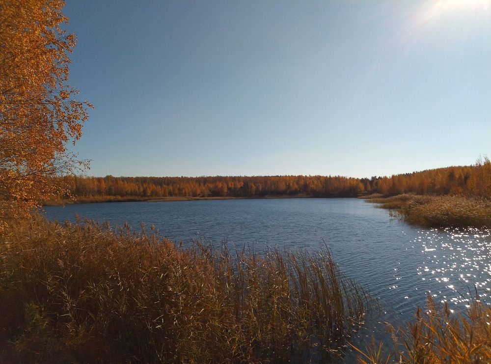 Photograph by Евгений Артемьев