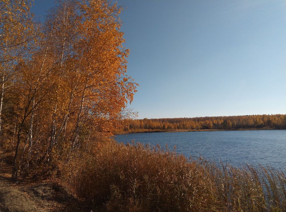 Photograph by Евгений Артемьев