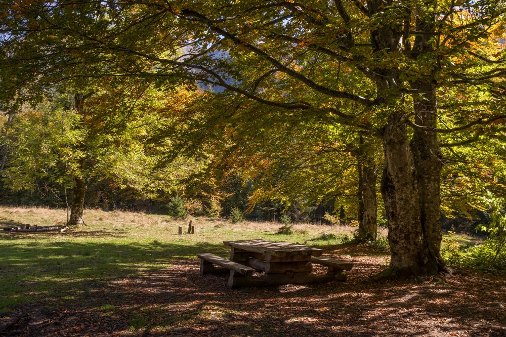 Фотография автора Андрій Лучишин