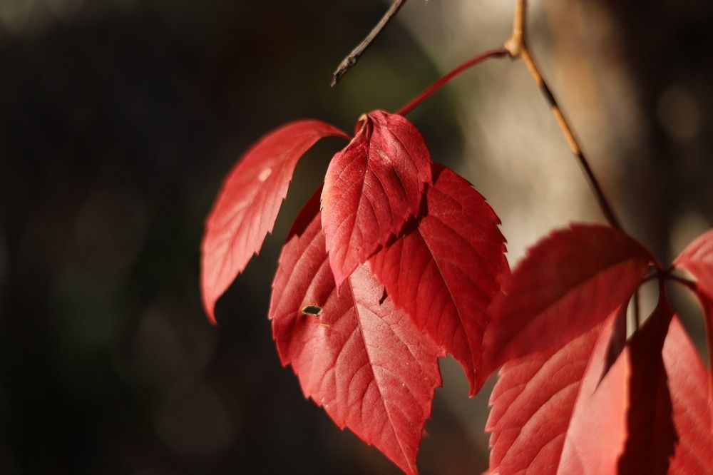 Photograph by Константин Искучеков