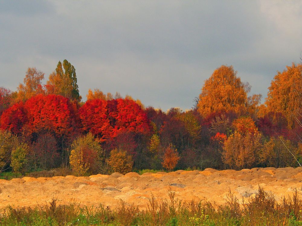 Фотография автора Антип