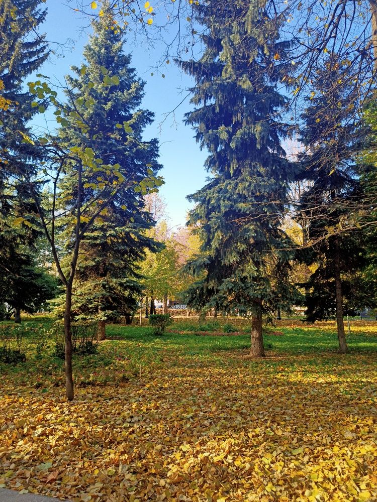 Photograph by Владимир Афанасьев