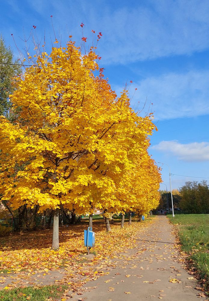 Photograph by Людмила