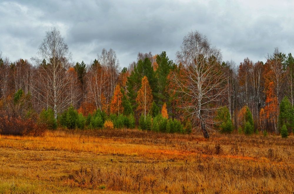 Photograph by Максим Солдатенко