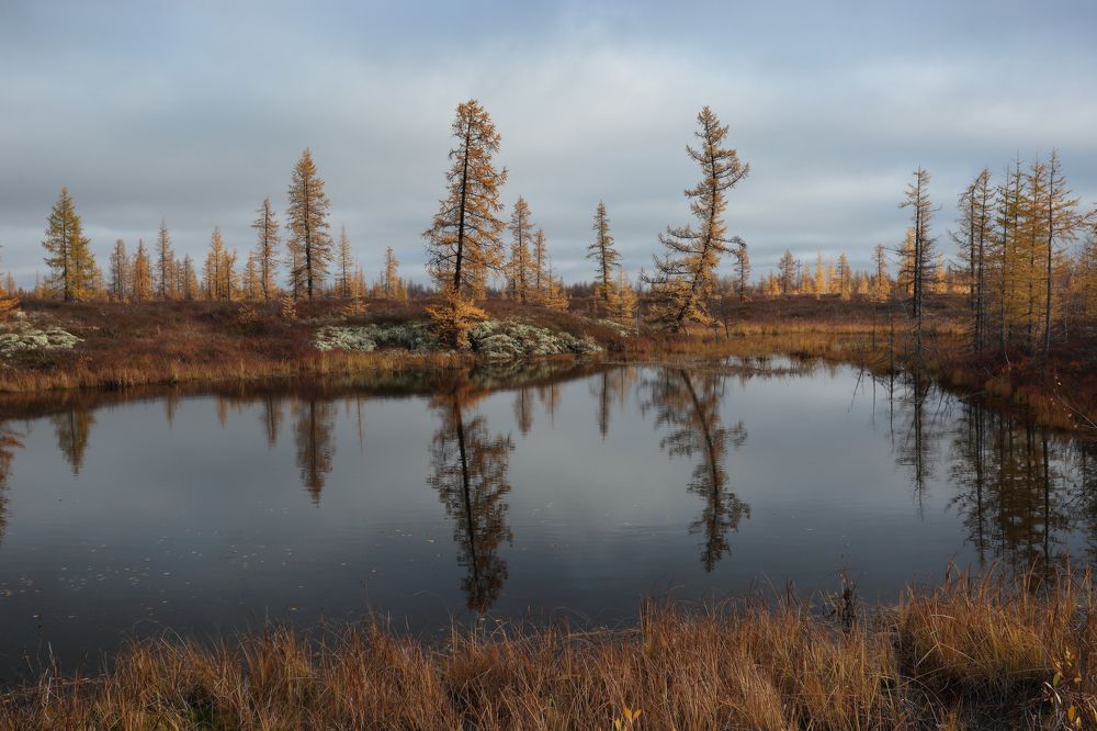Photograph by Светлана Смирнова
