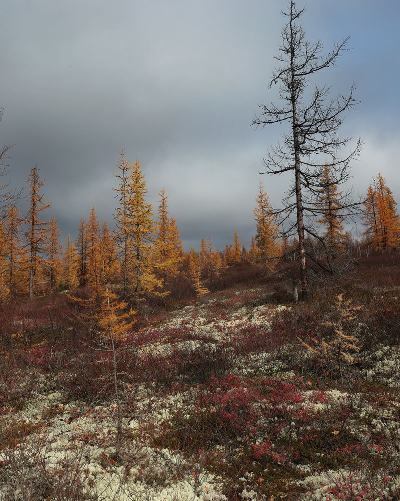 Photograph by Светлана Смирнова