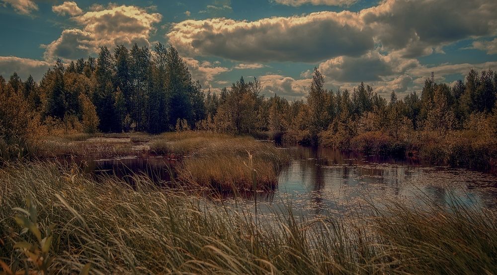 Фотография автора Viktoriya Shamanova